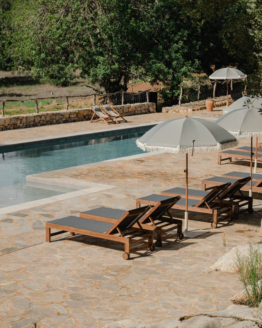 Piscina de agua salada de TERRA con hamacas y olivares al fondo, junto a la casa de piedra