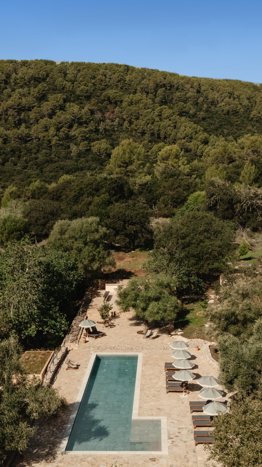 La ladera boscosa de TERRA sobre la piscina de agua salada y su terraza de piedra